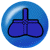 [Main Menu Button]