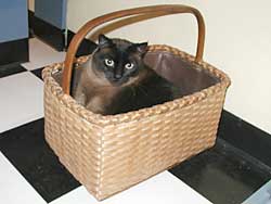 Martha Wetherbee Workshop 2002