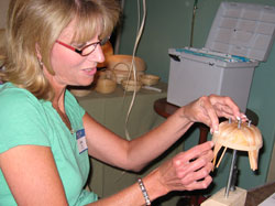 JoAnn Kelly Catsos Basketry Workshop 2008