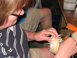 JoAnn Kelly Catsos Basketry Workshop 2008