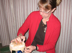 JoAnn Kelly Catsos Basketry Workshop 2008