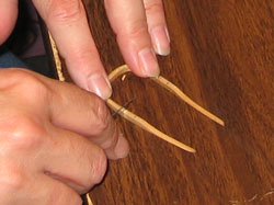 JoAnn Kelly Catsos Basketry Workshop 2010