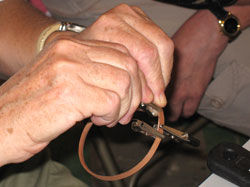Martha Wetherbee Basket Workshop 2010