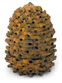 [Pine Cone Basket]
